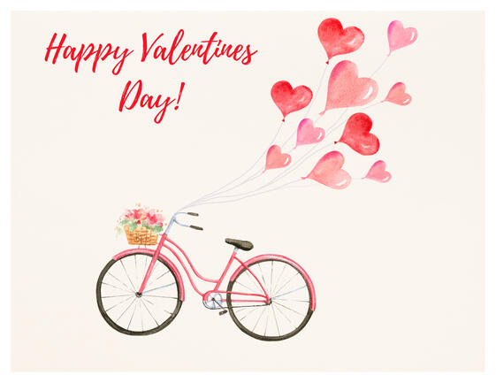 Lynn Large, VA/TC (Former Realtor, Current BSN/RN & LMT)